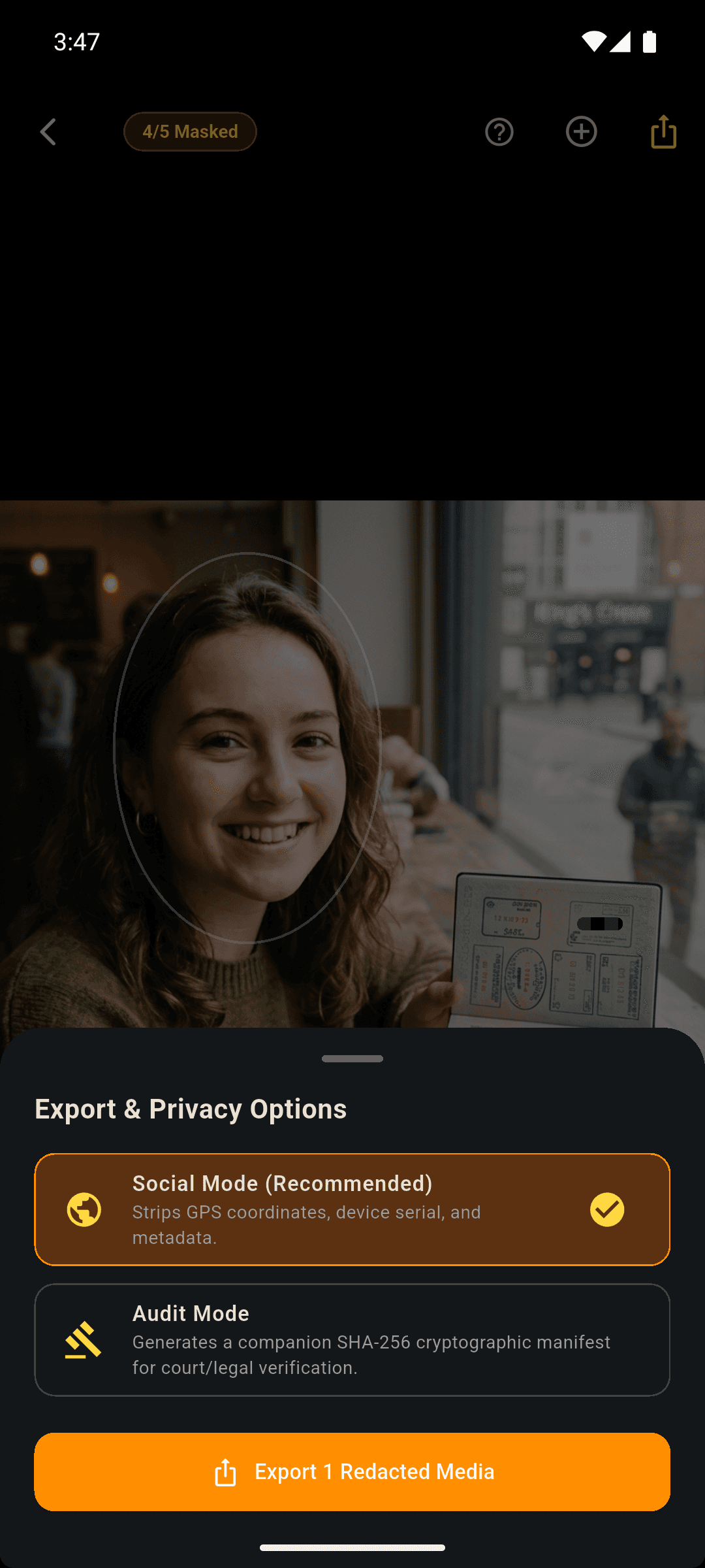 4. Metadata Sanitization